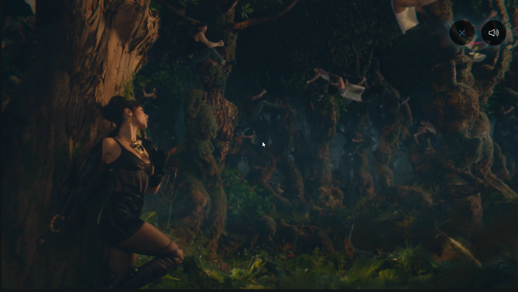 Forest scene used as music artwork